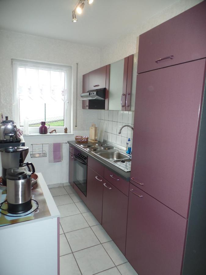 Ferienwohnung Erz Burgen (Mayen-Koblenz) Exterior foto